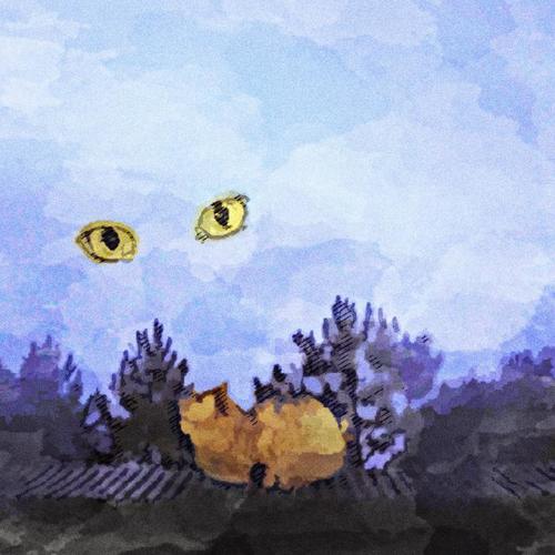 流浪猫