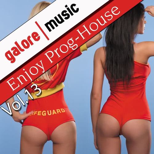 Enjoy Prog-House, Vol. 13