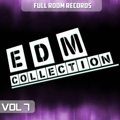 EDM Collection, Vol. 7