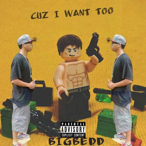 CUZ I WANT TOO (Explicit)
