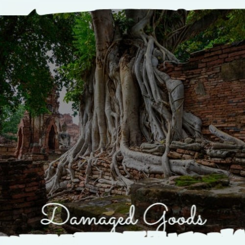 Damaged Goods