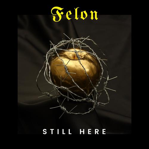 Still Here (Explicit)