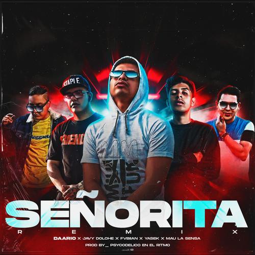 Señorita (feat. Javy Dolche, FVBIIAN, Yasek RB & Mau La Sensa) [Remix]