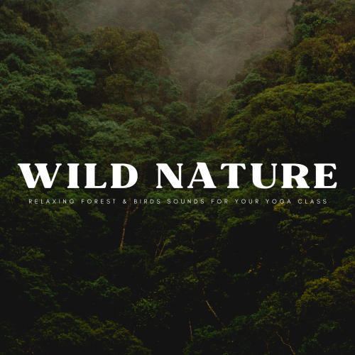 Wild Nature: Relaxing Forest & Birds Sounds For Your Yoga Class