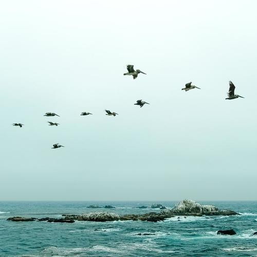 Peace in the Airwaves - 40 Tracks to Make You Feel One with Nature & Completely Relax and Unwind