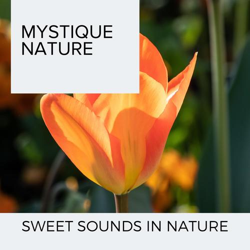 Mystique Nature - Sweet Sounds in Nature