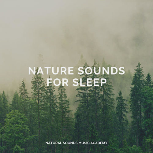 Nature Sounds for Sleep