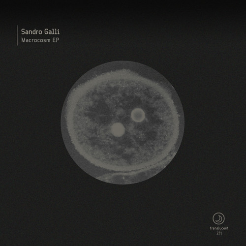 Macrocosm EP