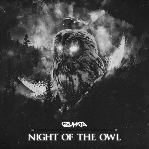 Night of the Owl