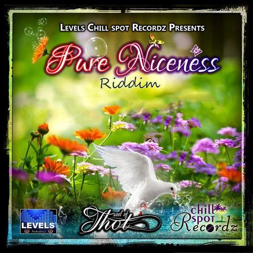 Pure Niceness Riddim (Levels & Chillspot Recordz Presents)