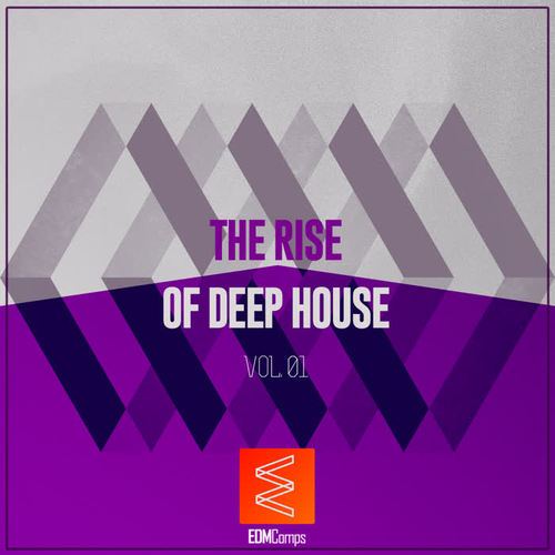 The Rise Of Deep House, Vol. 01