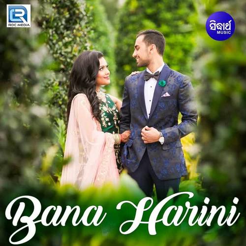 Bana Harini