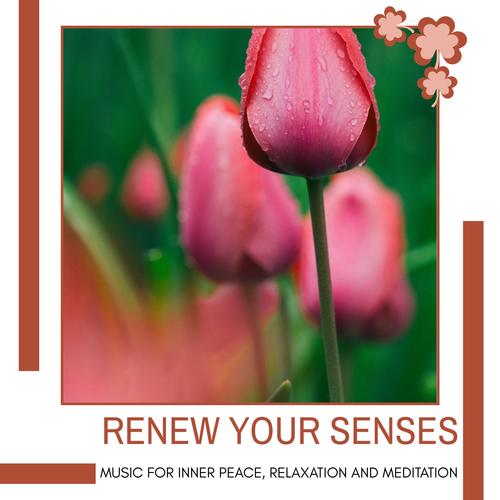 Renew Your Senses - Music For Inner Peace, Relaxation And Meditation