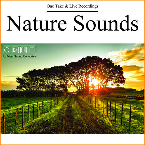 Nature Sounds - One Take & Live Recordings