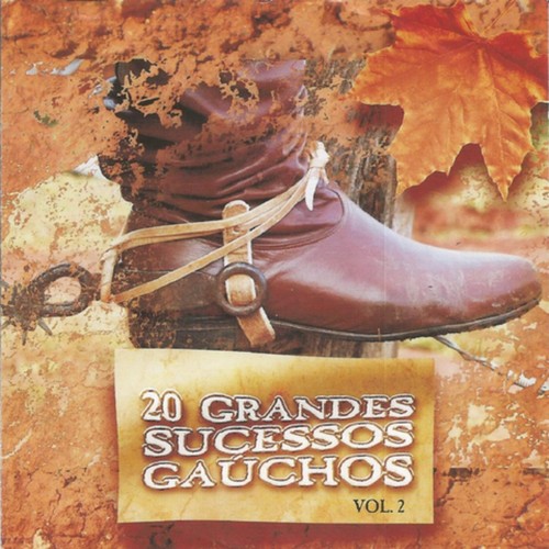 20 Grandes Sucessos Gaúchos, Vol. 2