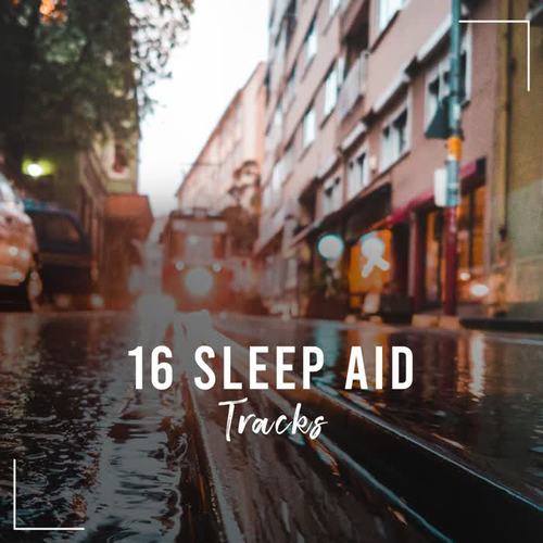 16 Sleep Aid Nature Sounds, Sleep 8 Hours, Peaceful Sleep, Insomnia, Rain Sounds, Nature Music, Bliss