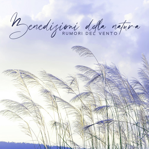 Benedizioni della natura (Rumori del vento, Musica rilassante per dormire e contemplazioni)
