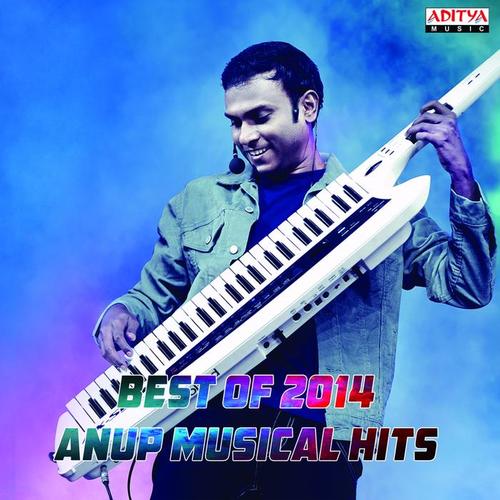 Best of 2014:  Anup Musical Hits