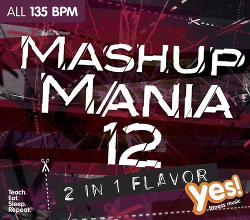 MASHUP MANIA VOL. 12