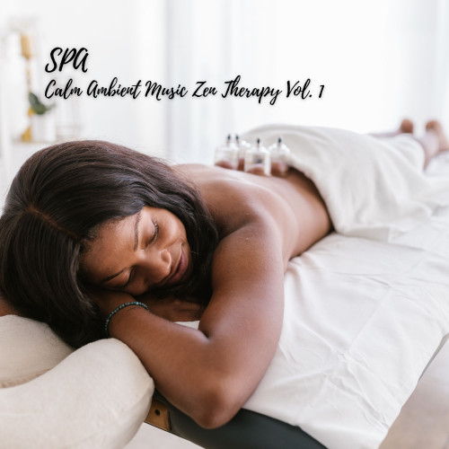 SPA: Calm Ambient Music Zen Therapy Vol. 1