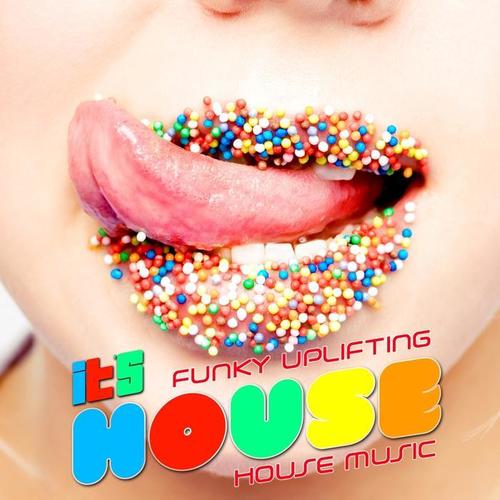 It's House (Funky Uplifting House Music, Vol. 2)