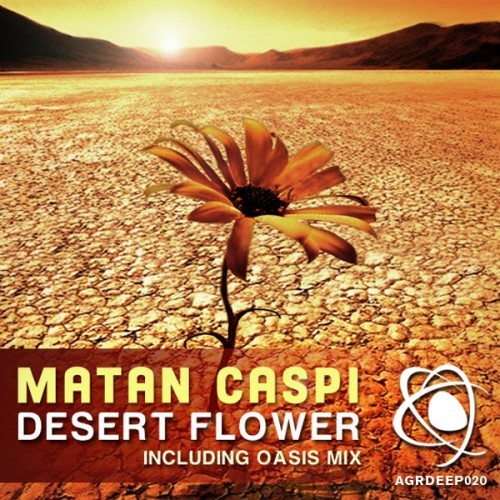 desert flower(original mix)