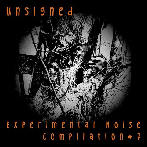 Unsigned Experimental Noise Comp, Vol. 7.