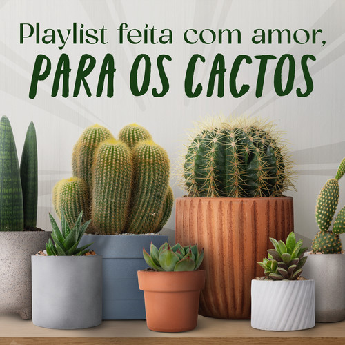 Playlist feita com amor, para os Cactos