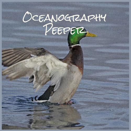 Oceanography Peeper