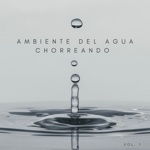 Ambiente Del Agua Chorreando Vol. 1