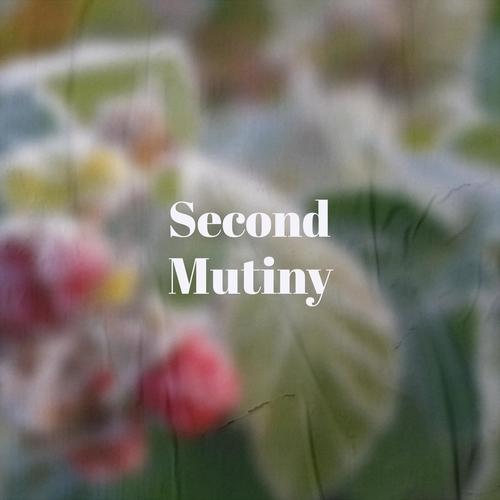 Second Mutiny