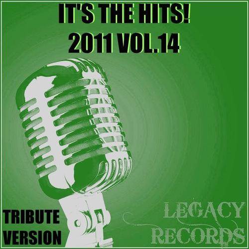 It's the Hits 2011, Vol. 14