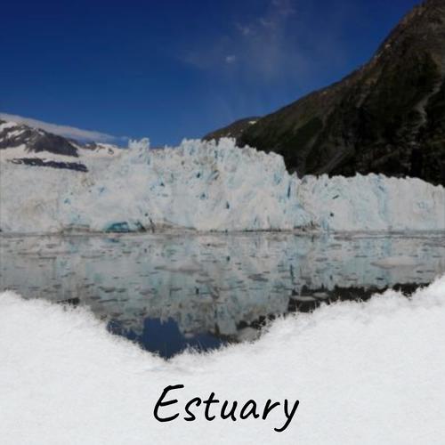 Estuary