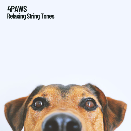 4Paws: Relaxing String Tones