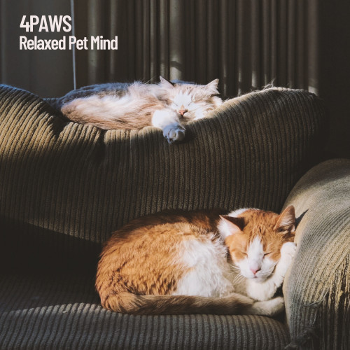 4Paws: Relaxed Pet Mind