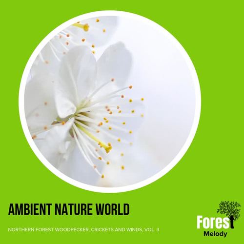 Ambient Nature World - Northern Forest Woodpecker, Crickets and Winds, Vol. 3