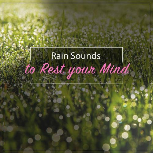 12 Loopable Rain Sounds to Rest Your Mind