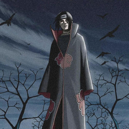 琳.带土
