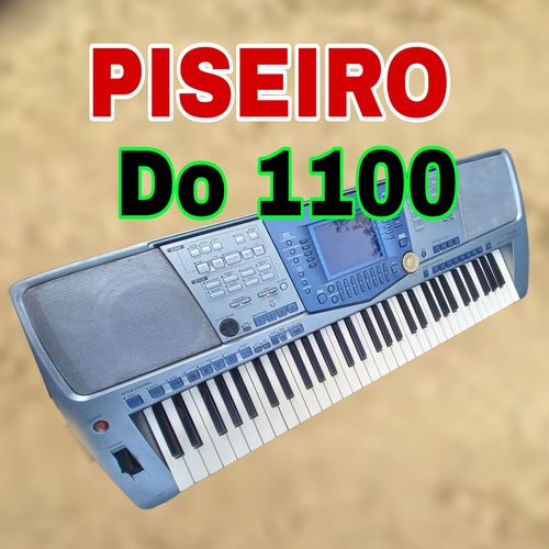 piseiro do 1100