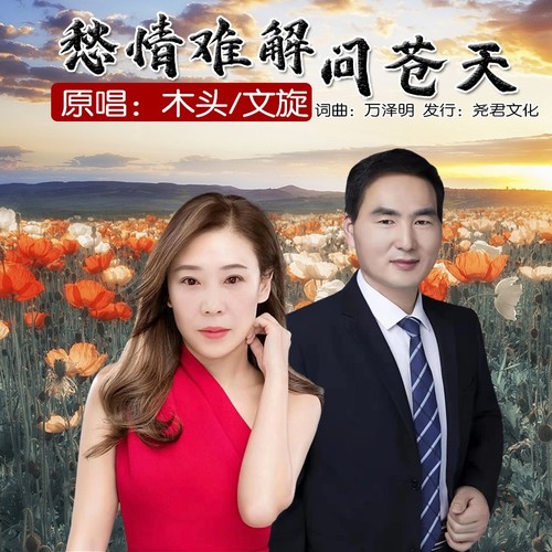 愁情难解问苍天（对唱版）