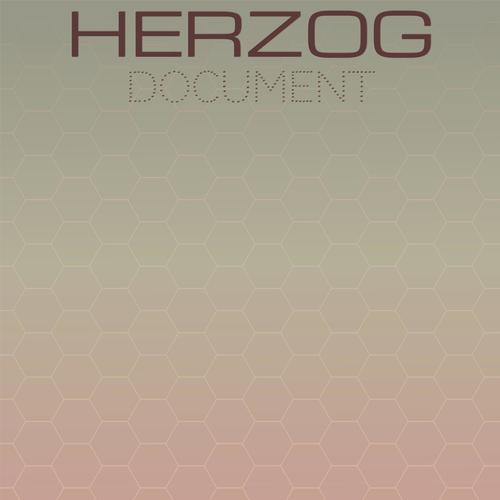 Herzog Document