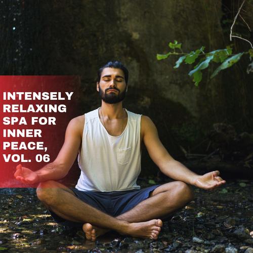 Intensely Relaxing Spa for Inner Peace, Vol. 06