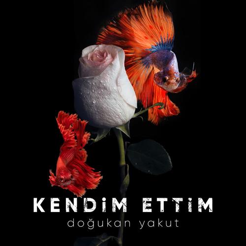 Kendim Ettim (feat. Mert) [remix]