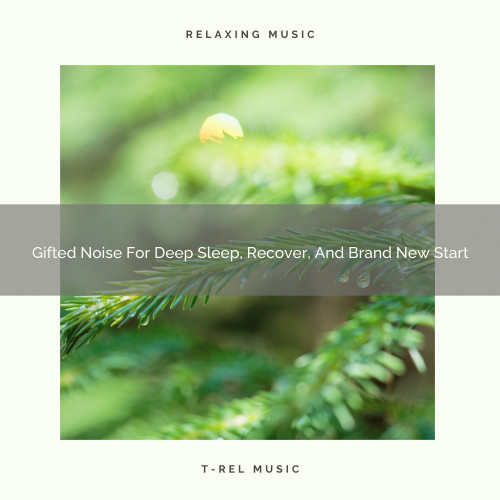 Gifted Noise For Deep Sleep, Recover, And Brand New Start