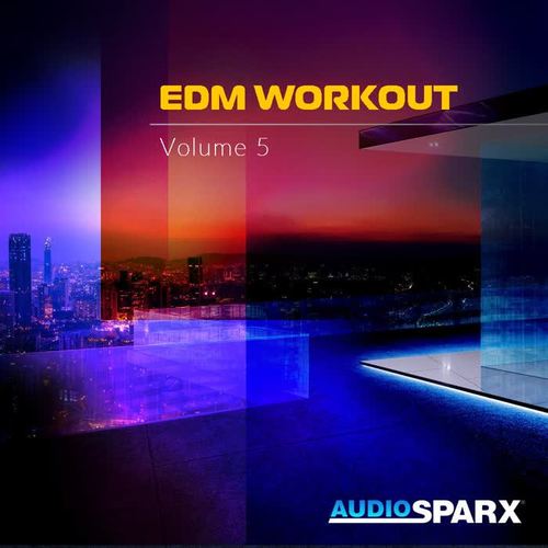 EDM Workout Volume 5