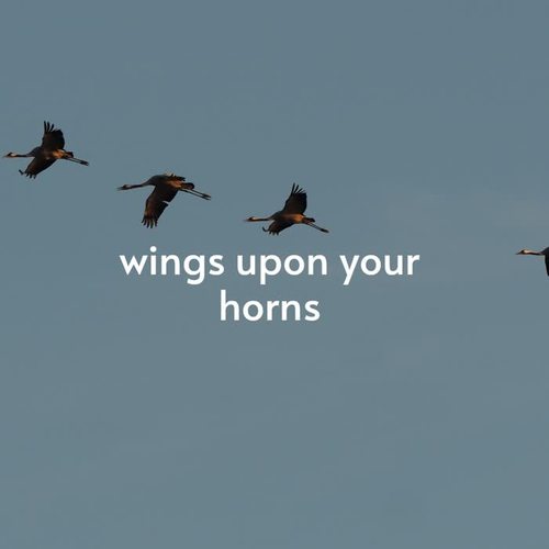 Wings Upon Your Horns