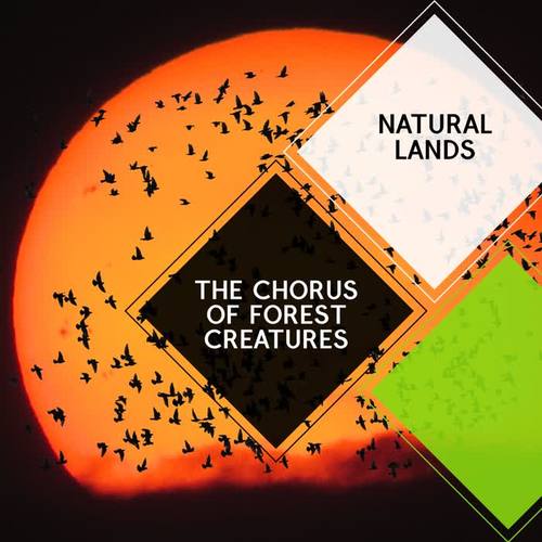 The Chorus of Forest Creatures - Natural Lands