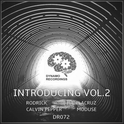 Dynamo Introducing, Vol. 2