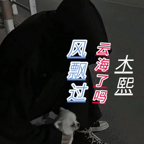 风飘过云海了吗