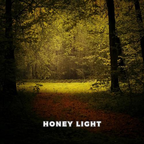 Honey Light